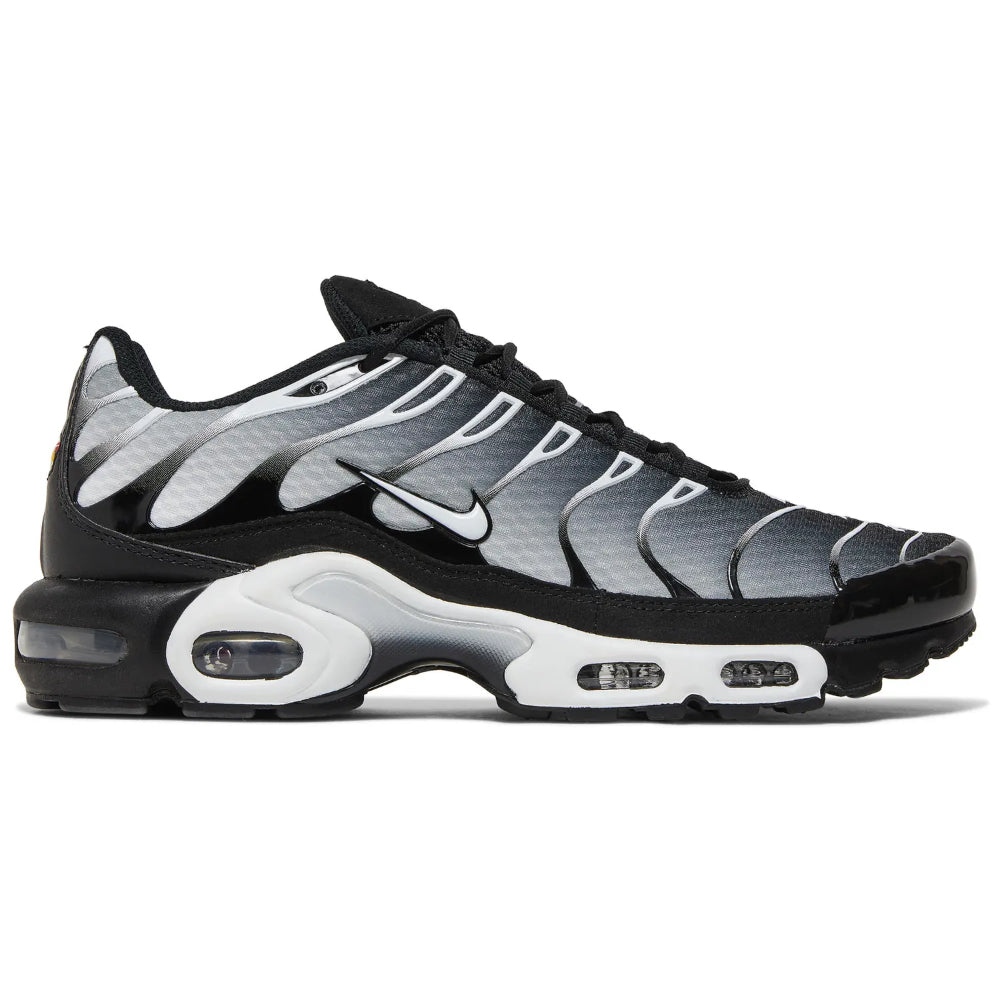 Nike Air Max Plus TN “Black Silver”