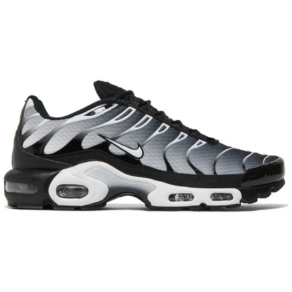 Nike Air Max Plus TN “Black Silver”