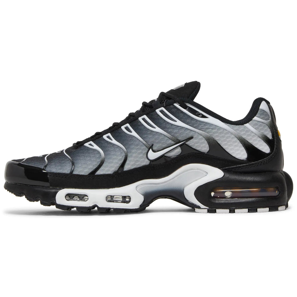 Nike Air Max Plus TN “Black Silver”