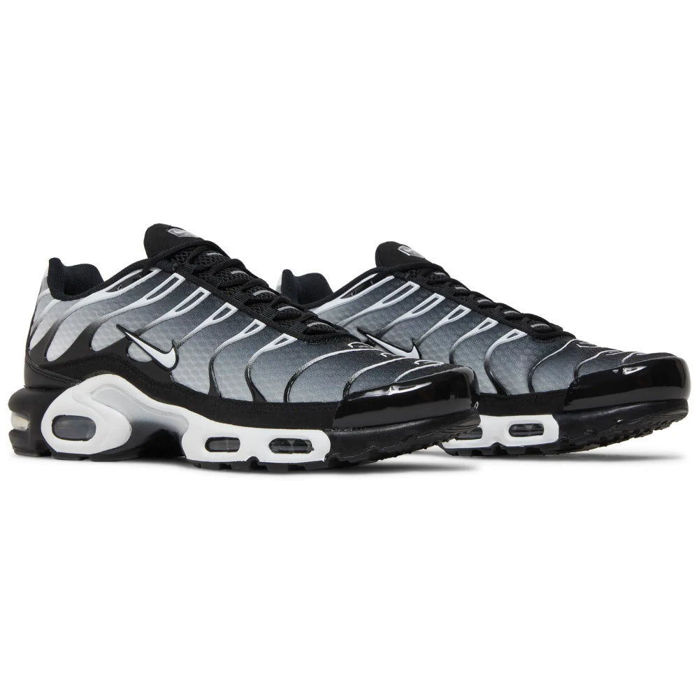 Nike Air Max Plus TN “Black Silver”