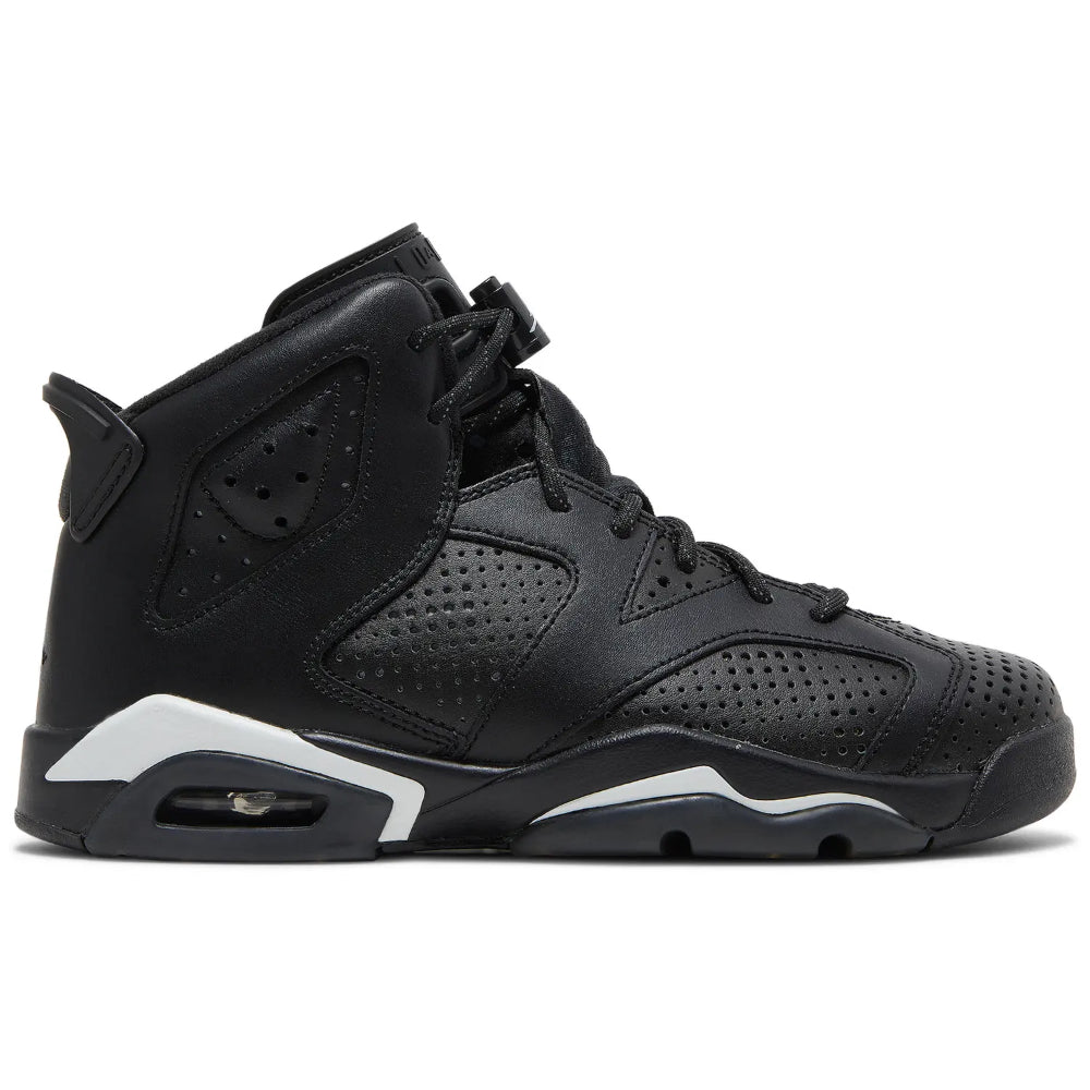 Air Jordan 6 Retro "Black Cat"