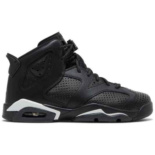 Air Jordan 6 Retro "Black Cat"